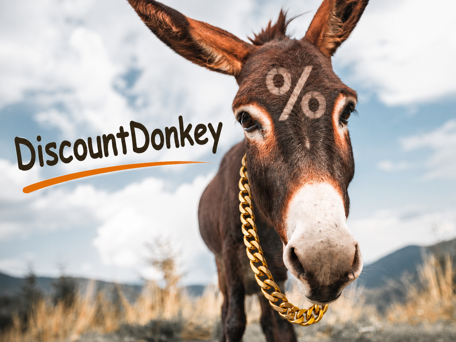 DiscountDonkey mascot